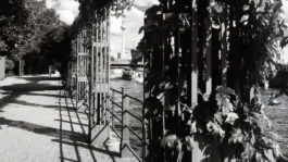  monbijou Park Berlin